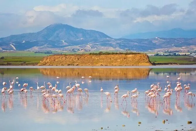 Appartement Sea And Breeze 1br