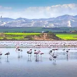 Sea And Breeze 1br Larnaca