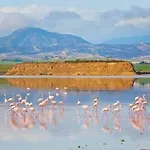 Daire Sea And Breeze 1br