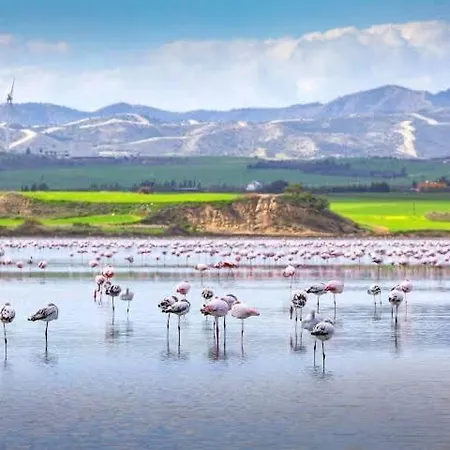 Sea And Breeze 1br Ларнака